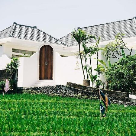 New Design Villa Casa Alma 3Bdr With Private Pool, Canggu المظهر الخارجي الصورة