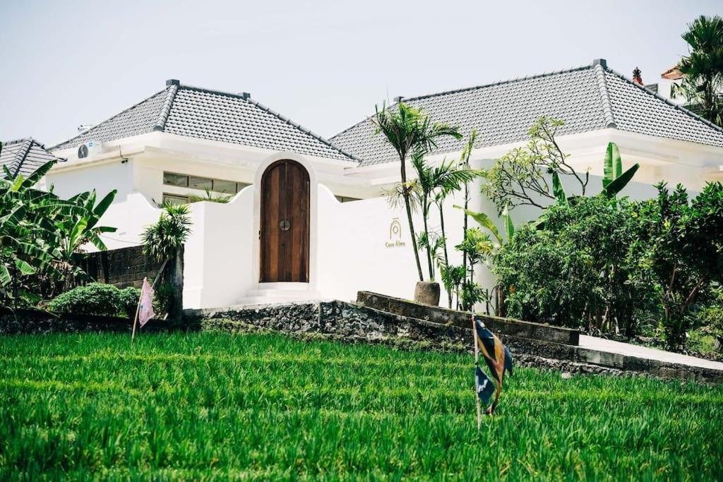 New Design Villa Casa Alma 3Bdr With Private Pool, Canggu المظهر الخارجي الصورة